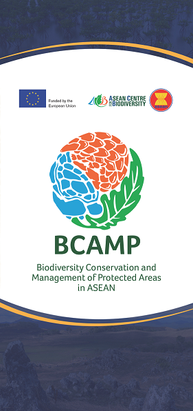 BCAMP Brochure