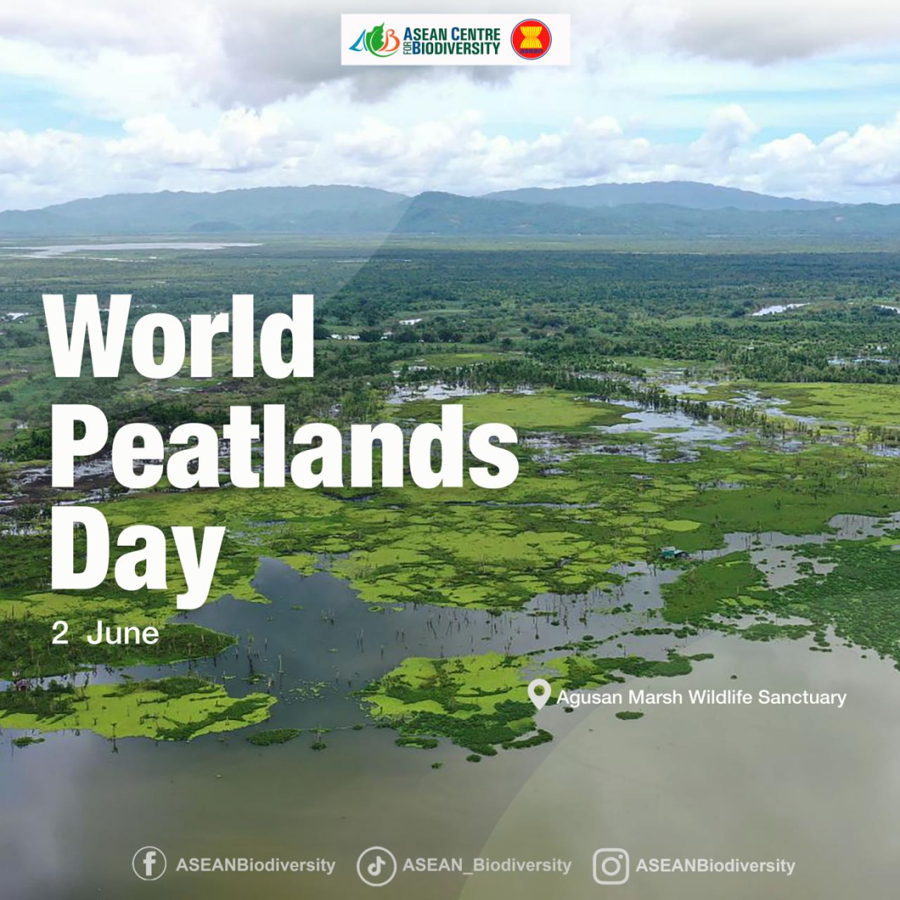Peatlands Matter: Shifting the spotlight on a valuable natural resource ...